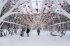 В Украину на Рождество вернутся снег и морозы: синоптики рассказали, в каких областях будет холоднее всего