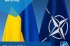В Брюсселе стартует Комиссия НАТО-Украина