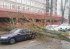 В городе под Минском ветром сдуло главную новогоднюю елку