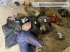 Слесарь, сантехник и безработный: установлены имена мирных жителей, расстрелянных в подвале Бучи