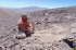 В Чили обнаружили редкое кладбище летающих динозавров: в чем его уникальность, фото