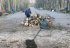 В Харькове принялись убирать парк Горького: как выглядит жемчужина города после обстрелов