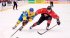 Сборная Украины по хоккею после поражения от Японии на ЧМ потеряла шансы на повышение