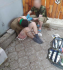 Один - убит, один - в плену: бойцы белорусского батальона обезвредили снайперов РФ, видео