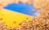 Экспортировать зерно из Украины может помочь Канада