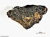 Доказывает взрыв сверхновой звезды: в Египте нашли уникальный камень из внеземной породы