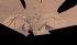 Станция InSight сделала последнее селфи на Марсе