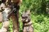 "Универсальный солдат": украинские разведчики показали собаку Зорро в полной боевой экипировке