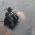 В одном из озер Киева утонул мужчина: подробности трагедии