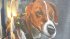 В Ужгороде появился мурал с псом Патроном - изображение четверолапого сапера украшает стадион