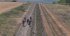 Люди тікають пішки: Макс Барських показав щемливі кадри з рідного Херсона