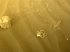 Марсохід NASA надіслав зображення загадкового предмета з Червоної планети