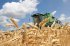 Україна вже зібрала 6,5 мільйона тонн зерна нового врожаю