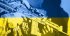 В Україні продовжать загальну мобілізацію після 23 серпня: кого почнуть призивати до лав ВСУ
