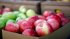 В Україні підскочили ціни на яблука: яка вартість у супермаркетах
