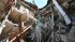 Ракетний удар по гуртожитку в Харкові: невпізнаними залишаються вісім жертв