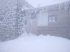 В Україні випало по коліна снігу: опубліковано фото заметів