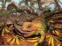 Жила серед динозаврів: у США знайшли останки допотопної ящірки