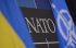 Зараз пріоритетом України щодо НАТО має бути зброя, а не швидке членство — Atlantic Council