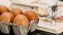 Ціни на яйця: у Києві встановлене новий вартісний рекорд