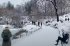 Справжня зима прийде до Дніпра, похолодає до -15: коли очікувати снігу