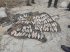 Держекоінспекція: На Черкащині виявлено браконьєрів, які нанесли збитки державі на 156 тисяч гривень