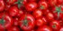 В Україні різко подорожчали помідори: скільки коштують овочі в супермаркетах у середині листопада