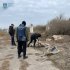 У Херсонській області знайдено тіла фермерів, убитих окупантами