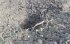 Ракетний удар по Запоріжжі: без опалення залишилися 123 багатоповерхівки