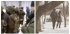 "Все завалено трупами противника": окупанти кидають піхоту штурмувати ЗСУ біля Бахмута