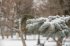 Прогноз погоди на 13 грудня від Укргідрометцентру