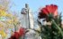 У Мінкульті порадили КМДА демонтувати пам’ятник Ватутіна