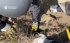 Експравоохоронець готував диверсію на Курахівській ТЕС, біля станції знайшли схрон із вибухівкою