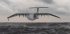 Пентагон замовив розробку вантажного літака, здатного сідати на воду