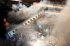 У Греції зіткнулися пасажирський та вантажний потяги: загинули десятки людей, фото