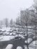 Київ посеред березня засипало снігом: у мережі діляться фото та відео "весни"