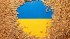 Україна зупиняє експорт зерна в Польщу