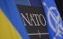 У НАТО розглядають гарантії безпеки для України за "ізраїльською моделлю" – WSJ
