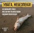 Масовий мор риби через підрив Каховської ГЕС може спричинити важкі отруєння - МОЗ