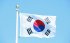 Південна Корея аналізує наслідки заколоту Прігожина в Росії