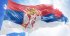 Сербія вирішила надати Україні гуманітарну допомогу