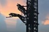 SpaceX ������ ����������� 140-�������� �����, ������� ����������� ��� ����� � ������� ����������� ������ Super Heavy