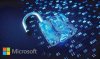 Microsoft прокомментировала атаку на украинские правительственные сайты