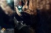 � ������ ���� ��� ������� ����������� ��� ���, ���� �������