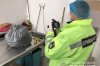��� � �������� ������������: ����� ������� � ��� ������� ����� ���� ���������, ������� "��������" � �����