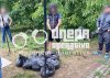 � ����� ��-�������� ����� �������: ��� ������������ �� "�����������" �� �������