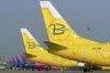 ������������� ��������� ������ ��������� ����������� Bees Airline