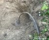 �� �������� �������� ������ ����� ����� � ������������