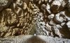 ��������� ������� � ������� ���� ��������, ���� 3500 ����: ����
