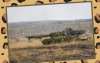 ͳ����� Leopard �� Marder ������� � ������ � ������� � ���������